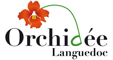 orchidee languedoc association